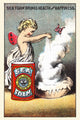 Victorian Sea Foam baking powder trade card poster print showcasing vintage advertising art.