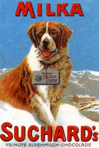 Suchard Chocolate Poster featuring a St. Bernard in the Alps