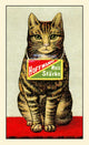 German Whole Grained Rice Poster Print showcasing the texture and color of rice.