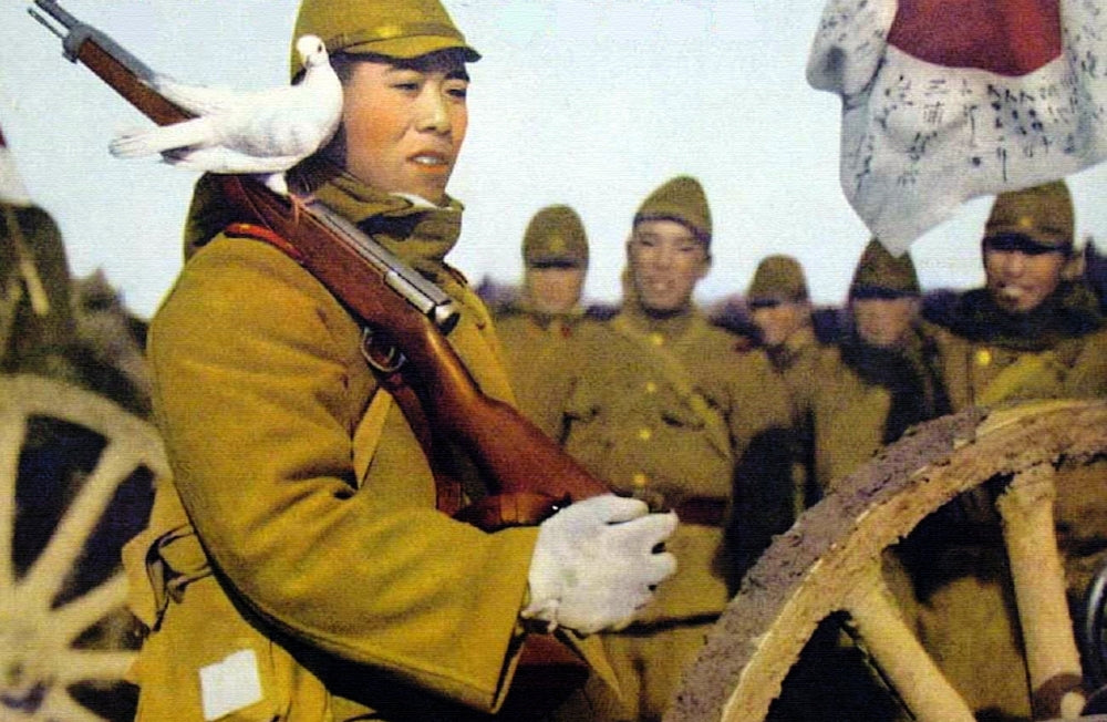 Pigeon Rests on a Japanese Infantryman's Rifle Poster Print, depicting a serene scene of nature and military life.