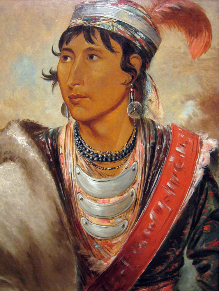 Seminole Indian Poster Print by George Catlin, showcasing Native American heritage