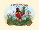 Rivenoak Poster Print from The Deerslayer depicting the Indian chief.