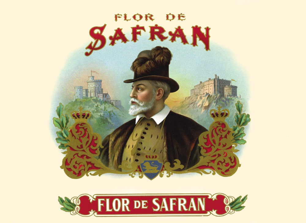 Portrait of a distinguished Spanish gentleman with twin castles in background.