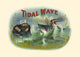 Vintage Cigar Label featuring a steam ship in rough seas.