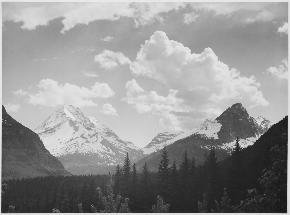 In Glacier National Park poster print by Ansel Adams depicting lush forests and mountains.