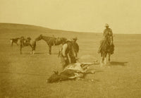Roping A Texas Steer Poster Print by L.A. Huffman showcasing cowboy roping techniques.