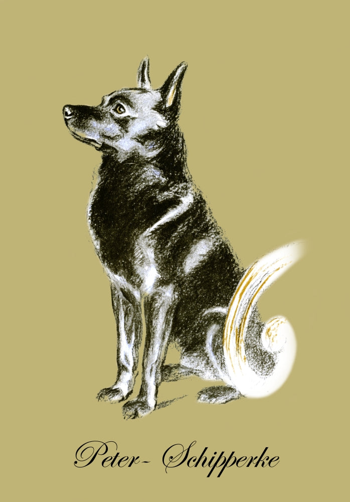 Pencil drawn illustration of a dog from Dogs Rough & Smooth by Lucy Dawson