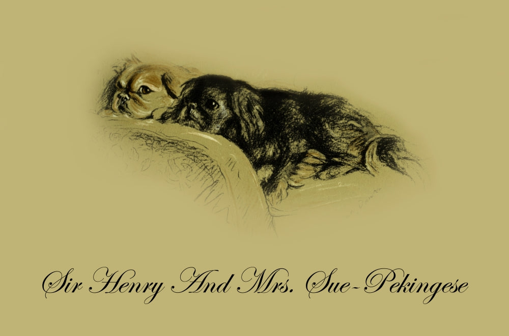 Pencil drawn illustration of a dog from 'Dogs Rough & Smooth' by Lucy Dawson