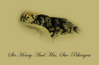 Pencil drawn illustration of a dog from 'Dogs Rough & Smooth' by Lucy Dawson