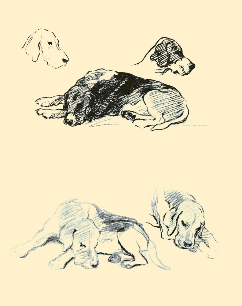 Dogs Rough & Smooth pencil illustration poster print by Lucy Dawson.