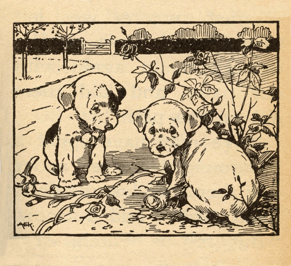 Two playful puppies in a garden, poster print.