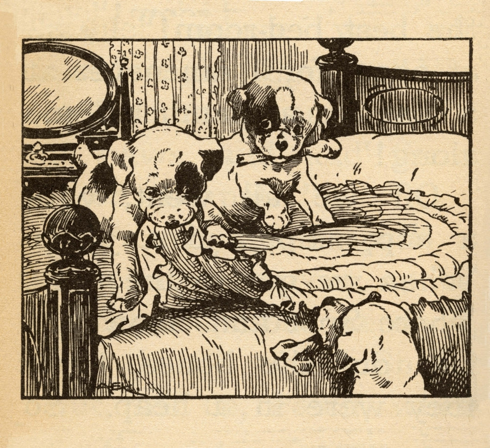 Poster print featuring two playful puppies destroying a blanket on the bed.