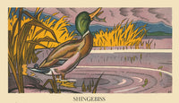 A Duck Swallows a Fish illustration from Stories that Never Grow Old by Piper Watty