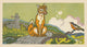 Bird on a branch conversing with a fox illustration from Stories that Never Grow Old by Hauman.