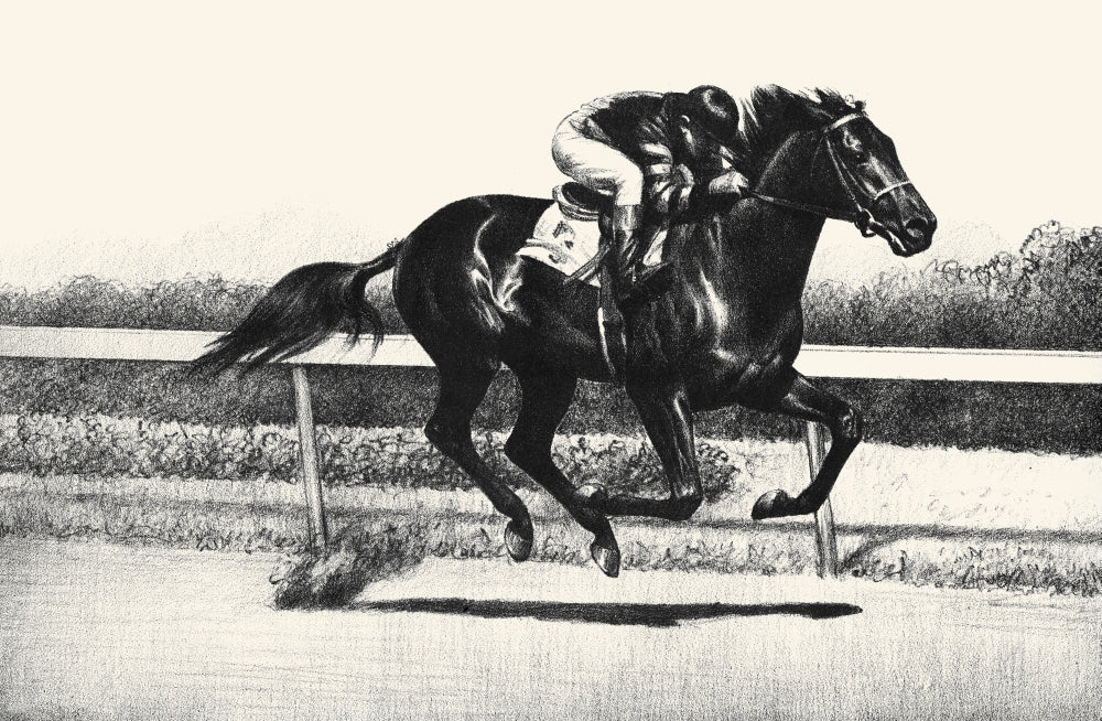 Black, Bay, and Chestnut horse illustration poster print by C.W. Anderson.