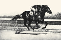 Black, Bay, and Chestnut horse illustration poster print by C.W. Anderson.