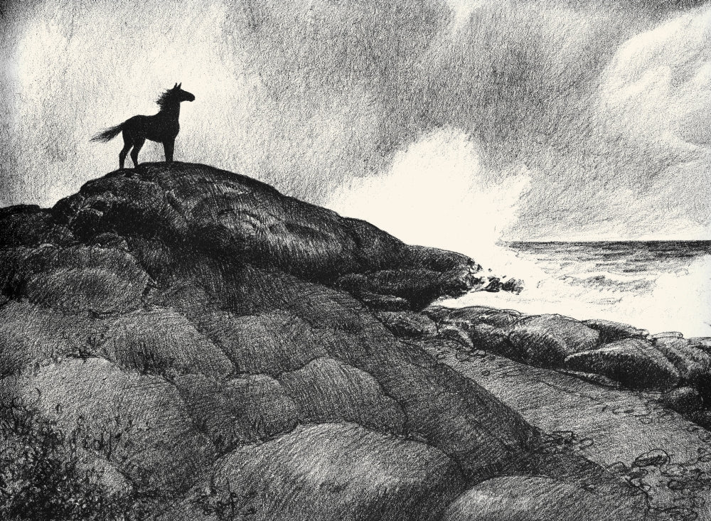 Black, Bay, and Chestnut Horse Illustrations Poster Print by C.W. Anderson