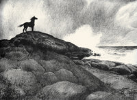 Black, Bay, and Chestnut Horse Illustrations Poster Print by C.W. Anderson