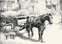 Black, Bay, and Chestnut horse illustration poster print by C.W. Anderson.