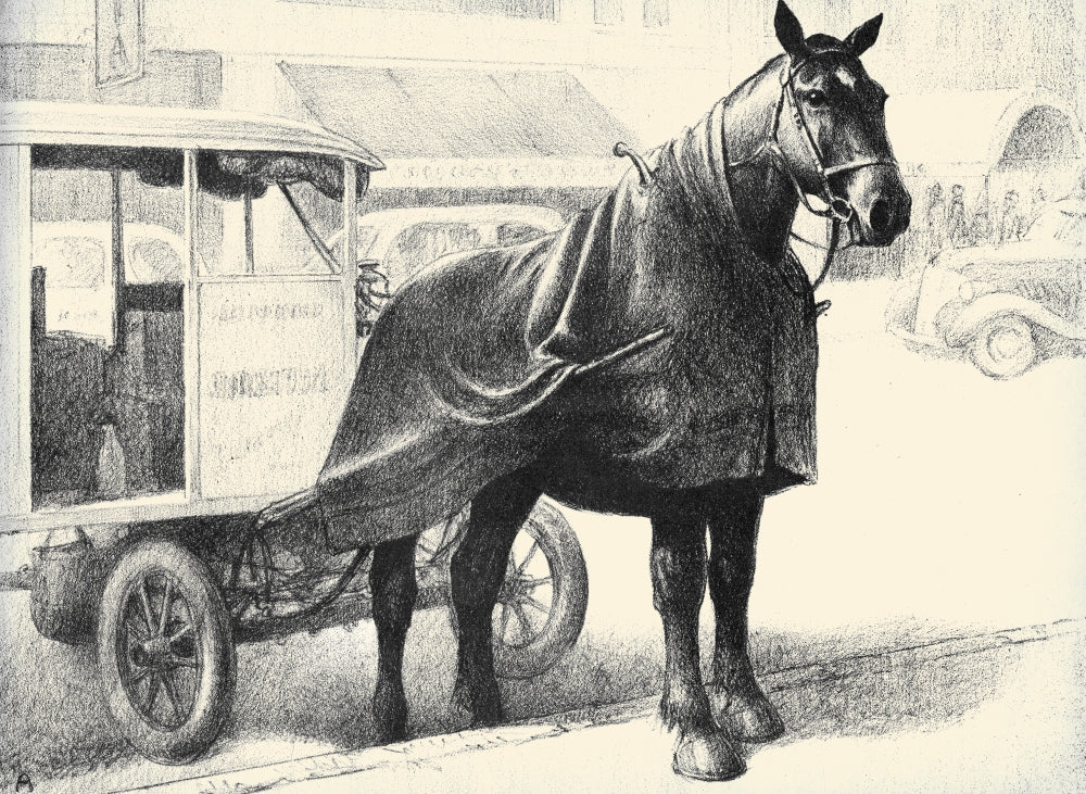 Illustration of horses from the book Black, Bay, and Chestnut by C.W. Anderson