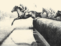 Black, Bay, and Chestnut Horse Profiles Poster Print by C.W. Anderson