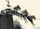 Black, Bay, and Chestnut Horse Print by C.W. Anderson