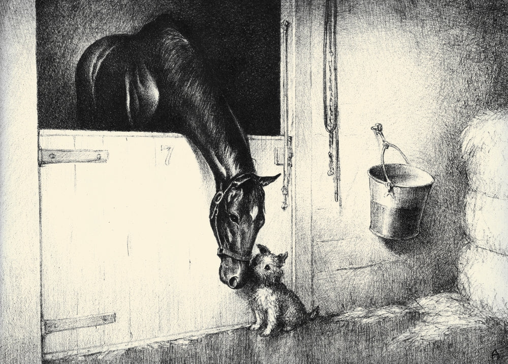 Black, Bay, and Chestnut Horse Illustrations Poster Print by C.W. Anderson