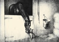 Black, Bay, and Chestnut Horse Illustrations Poster Print by C.W. Anderson