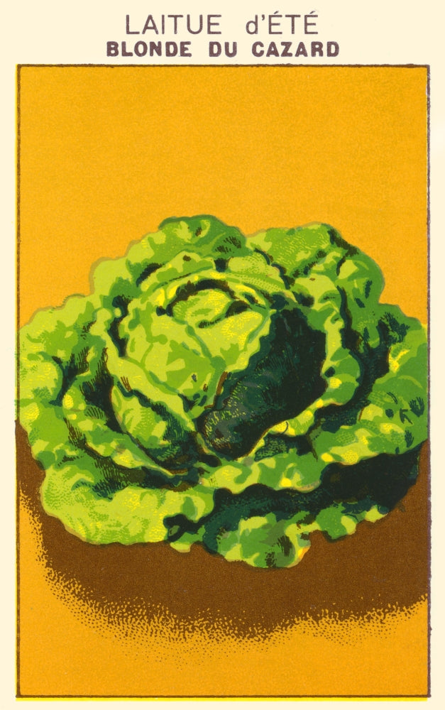 Summer Leaf Poster Print showcasing vibrant green foliage