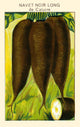 Black Turnip Poster Print showcasing detailed natural art.