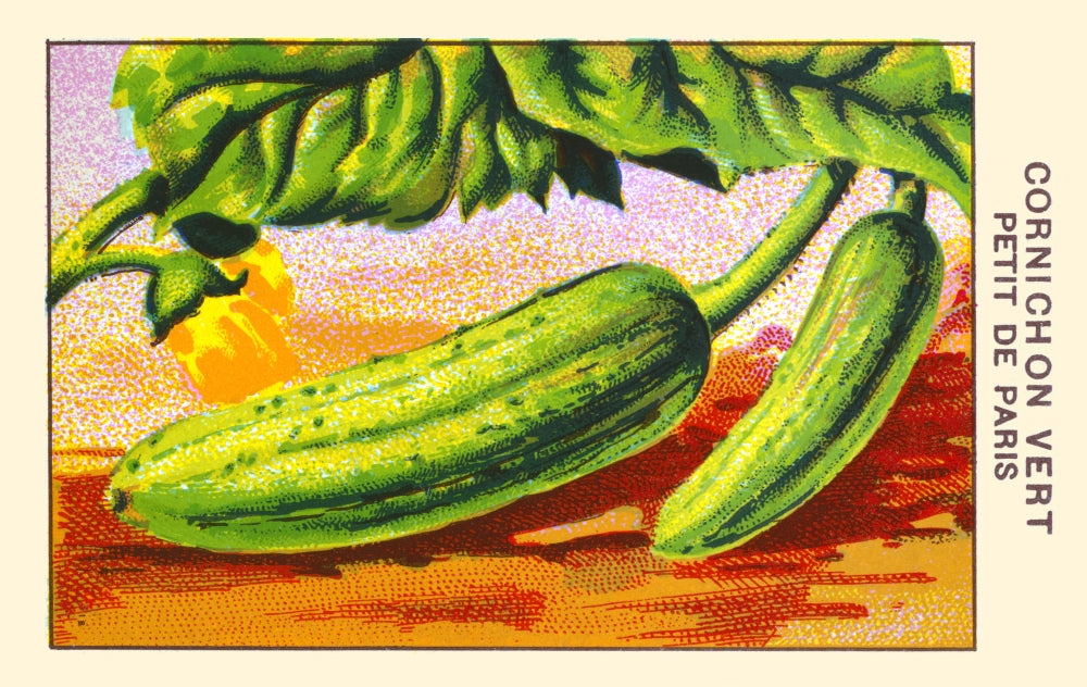 Little Green Cornichon Poster Print showcasing vibrant colors and playful design.