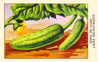 Little Green Cornichon Poster Print showcasing vibrant colors and playful design.