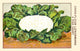 Short Foot Cauliflower Poster Print showcasing vibrant details.