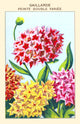 Gaillarde's Double Poster Print showcasing vibrant colors and intricate details.