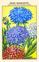 Half Dwarf Queen Margaret Poster Print showcasing unique design and vibrant colors.