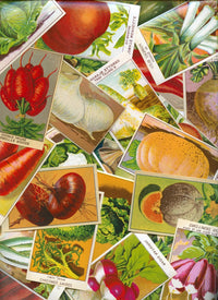 Vintage French Seed Packet Art Collage Poster Print by J. Pierce