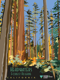 http://c328301.r1.cf1.rackcdn.com/BLL0587410167.jpg