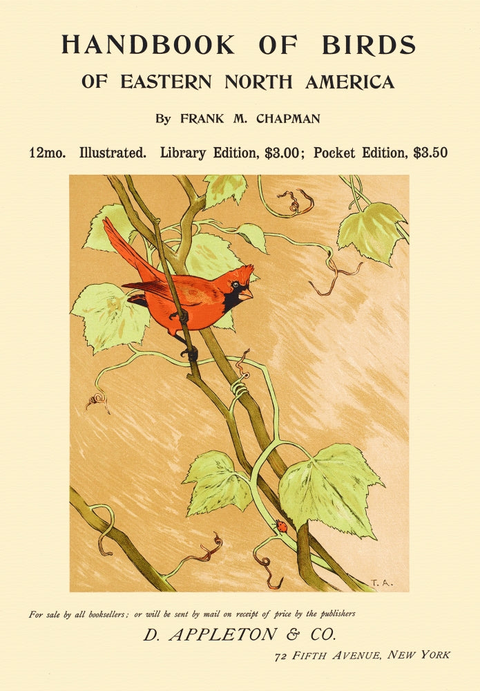 Bird on a Branch Poster Print showcasing a beautiful bird perched on a branch.