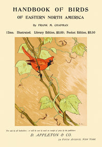 Bird on a Branch Poster Print showcasing a beautiful bird perched on a branch.