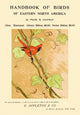 Bird on a Branch Poster Print showcasing a beautiful bird perched on a branch.
