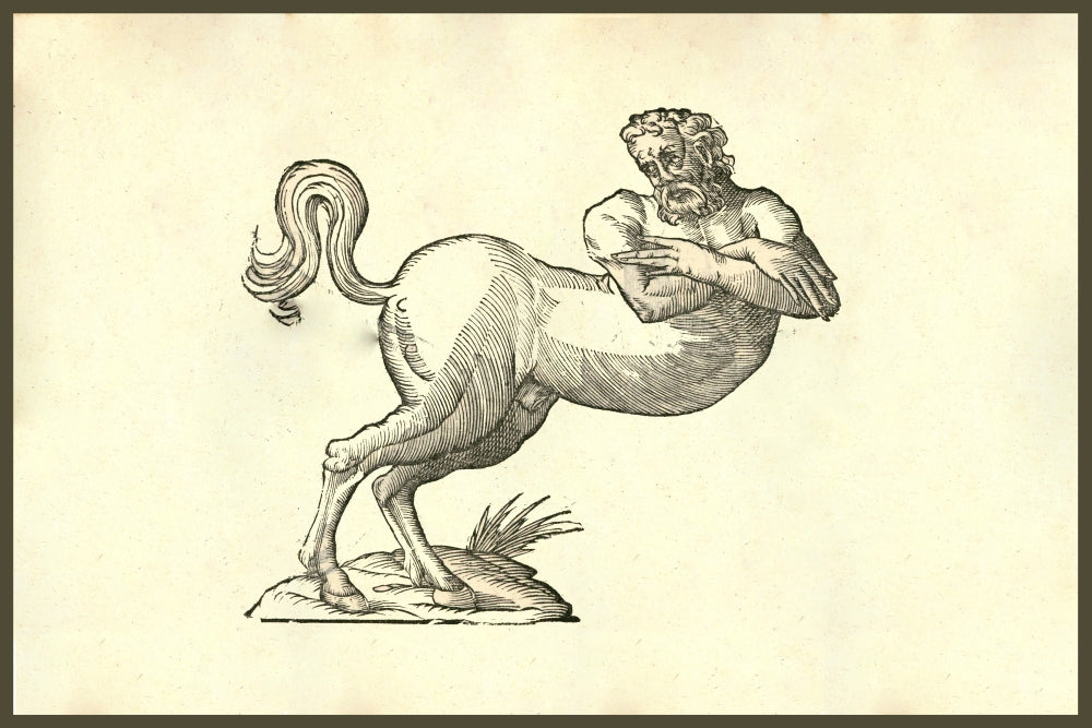 Renaissance centaur woodcut print by Ulisse Aldrovandi, showcasing a half horse half human mythical creature.