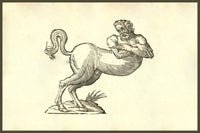 Renaissance centaur woodcut print by Ulisse Aldrovandi, showcasing a half horse half human mythical creature.