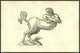 Renaissance centaur woodcut print by Ulisse Aldrovandi, showcasing a half horse half human mythical creature.