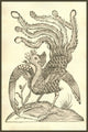 Gallus Indicus Auritus Tridactylus woodcut print by Ulisse Aldrovandi