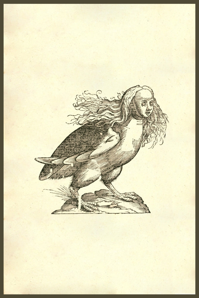 Harpyae Prima Icon Renaissance woodcut print of a Greek harpy.
