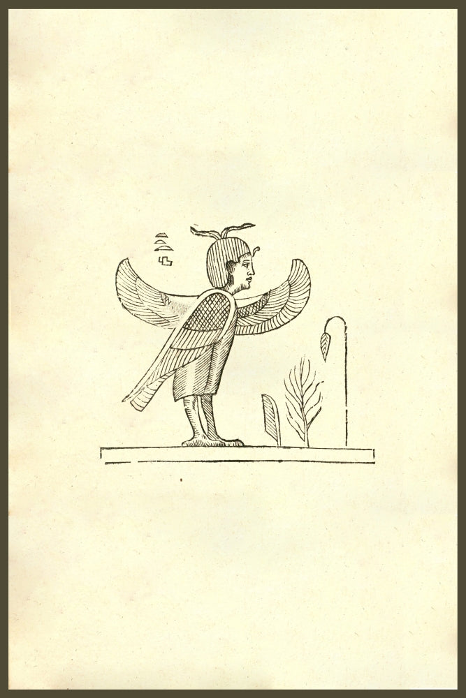 Harpyae Secunda Icon Egyptian Harpy Woodcut Print by Ulisse Aldrovandi