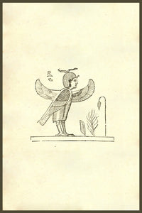 Harpyae Secunda Icon Egyptian Harpy Woodcut Print by Ulisse Aldrovandi