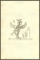 Harpyae Secunda Icon Egyptian Harpy Woodcut Print by Ulisse Aldrovandi