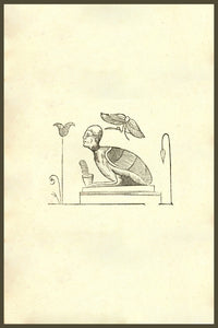 Harpyae Tertia Icon Persian Harpy Woodcut Print by Ulisse Aldrovandi