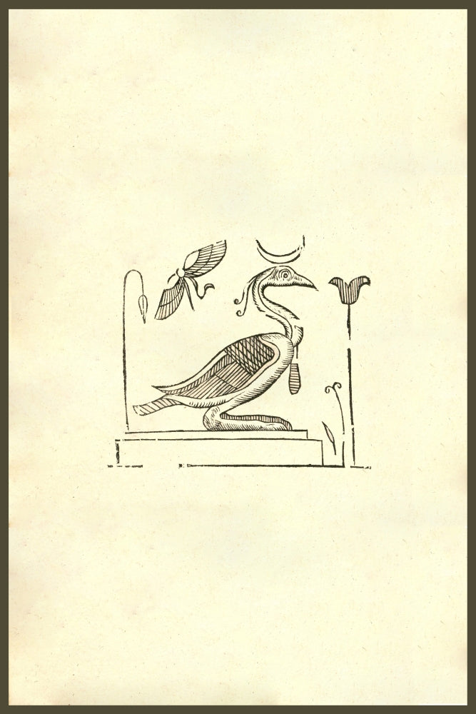 Ibis Woodcut Art Print from Monstrorum Historia by Ulisse Aldrovandi